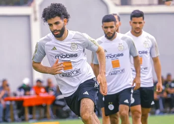 Ryan Aït Nouri