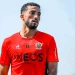 الأهلي يريد ضم محمد عبد المنعم على سبيل الإعارة