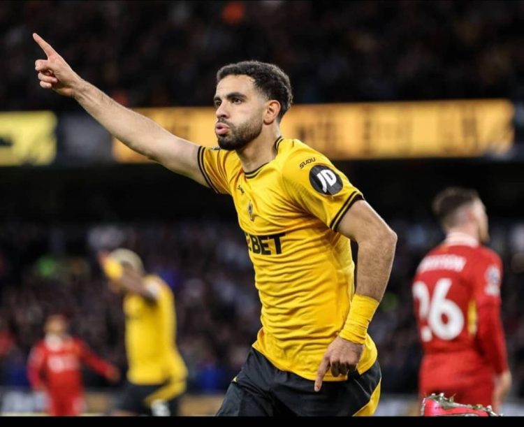 Hull City ينتهي بنقل ريدا لاالوي