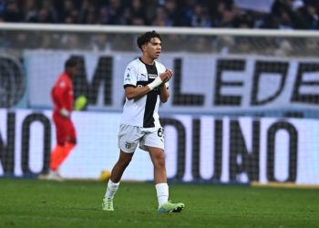 عرض من بيزا الإيطالي إلى أنس حاج محمد