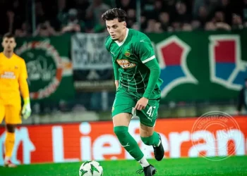 يوفنتوس ودورتموند مهتمان بأمين إلياس غرولر