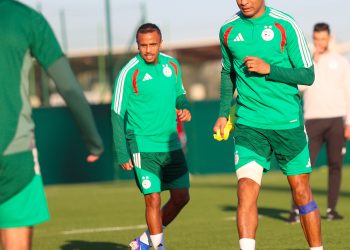 مصدر مسؤول في السد القطري يكشف: “لا شيء رسمي بشأن سمير شرقي”