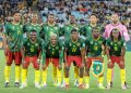 أي دولة أفريقية شاركت في أكبر عدد من بطولات كأس العالم؟