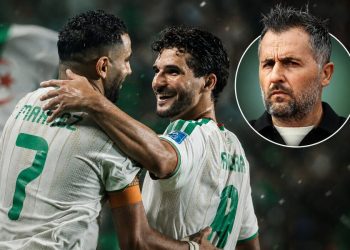 تحليل باتريس بوميل: “لا شيء تخشاه الجزائر”