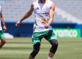 لا وجود لأي مفاوضات بين فارس غجيميس وبوروسيا دورتموند الألماني