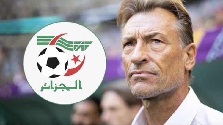 الجزائر: هيرفيه رينارد أم إريك شيل، من سيكون الخيار الأفضل ليحل محل بيتكوفيتش؟