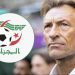 الجزائر: هيرفيه رينارد أم إريك شيل، من سيكون الخيار الأفضل ليحل محل بيتكوفيتش؟